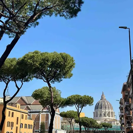 Domus Auri Vatican Boutique *